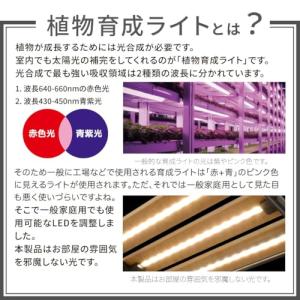 オーム(OHM)オーム電機 植物育成ライト L...の詳細画像3