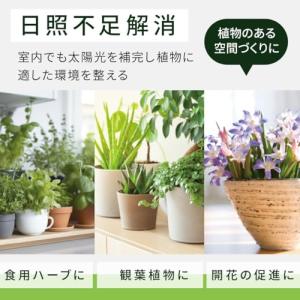 オーム(OHM)オーム電機 植物育成ライト L...の詳細画像4