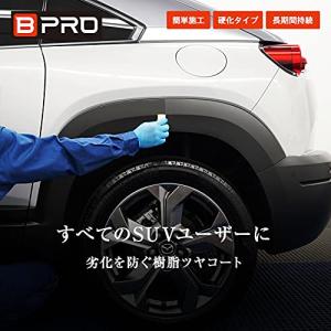 BPRO 未塗装樹脂用コーティング剤 樹脂ツヤ...の詳細画像1