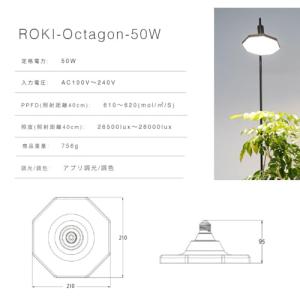 【BARREL公式】ROKI-Octagon-...の詳細画像3