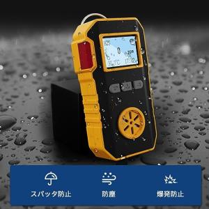 BOSEAN 硫化水素検知器 H2S検知器 高...の詳細画像3
