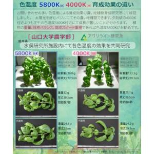 HaruDesign 植物育成ライト GL-X...の詳細画像5