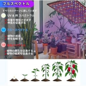 Aokson 植物育成ライト パネル 256 ...の詳細画像2