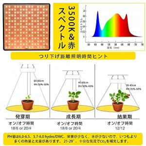 Aokson 植物育成ライト400W相当 22...の詳細画像1