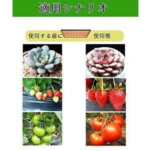 Aokson 植物育成ライト400W相当 22...の詳細画像5