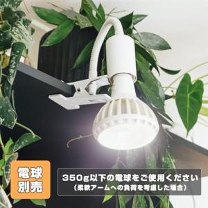 アセウイ(ASSEUI) クリップライト E2...の詳細画像1