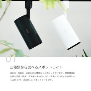 BARREL 【HADES-85-20W】 3...の詳細画像2