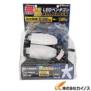 PROstandard LEDペンタゴン ALL BLACK 本体 無段階調光タイプ ＜PNT-MB