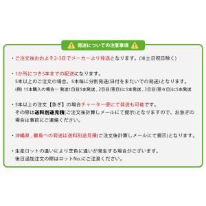 ユニオンビズ タフパッド (人工芝専用アンダー...の詳細画像3
