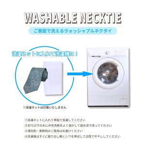 ネクタイ ペイズリー ペーズリー 送料無料 レ...の詳細画像1
