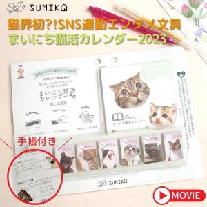 卓上カレンダー 猫 ペットカレンダー 健康手帳 SUMIKA × himekuri まいにち猫活カレンダー 2023 貼ってはがせる 日めくり