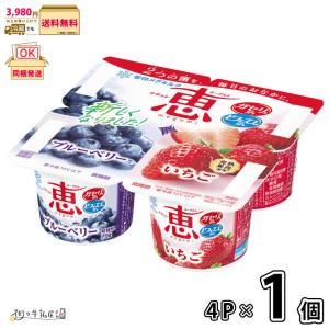 ナチュレ恵 ナチュレ 恵 megumi フルーツミックス＋ベリーミックス 70g