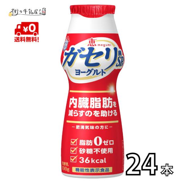 雪印メグミルク 恵 ガセリ菌 SP株 のむヨーグルト 100ｇ 24本 2ケース 送料無料