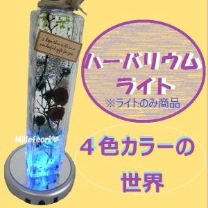 送料込み ４色に光る ハーバリウムライトステージ ハーバリウムが輝くライト