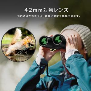 双眼鏡 10倍 オートフォーカス双眼鏡 倍率1...の詳細画像1