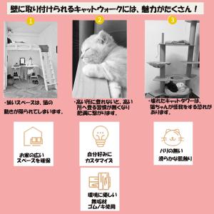 ベッド 天然木 無垢材 猫 壁掛け キャットウ...の詳細画像3