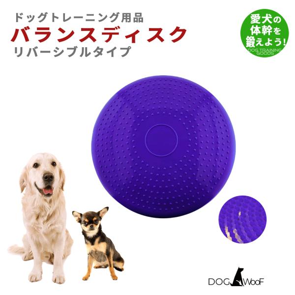 バランスディスク 犬 ペット ドッグバランスディスク リバーシブル 小型犬 中型犬 大型犬 体幹トレ...
