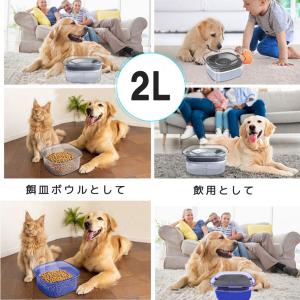 ウォーターボウル 犬 大容量 水飲み 早飲み防...の詳細画像5