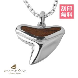 NORTH craft ノースクラフト 綾野剛モデル MORGAN EAGLE PENDANT