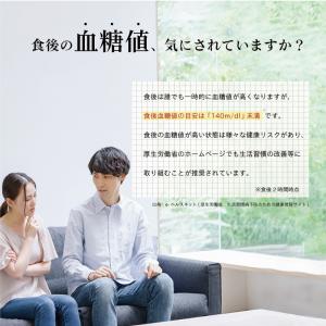 公式 フィットライフコーヒー 60包入り 1杯...の詳細画像2