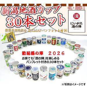 日本酒　爆買　にいがた地酒　ワンカップ３０本セット　飲み比べ　お楽しみガイド付き