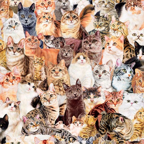 猫柄生地　さらら　キャッツマルチ　（50ｃｍ単位）　　