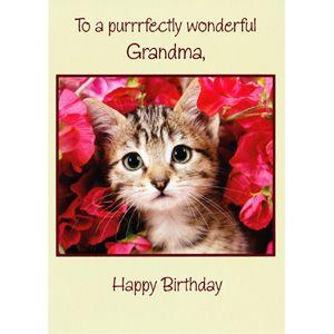 ハッピーバースデー花文字の商品一覧 通販 Yahoo ショッピング