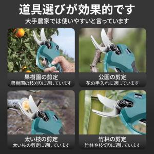 正規品 剪定 ばさみ 充電式 高枝切 り マキ...の詳細画像3
