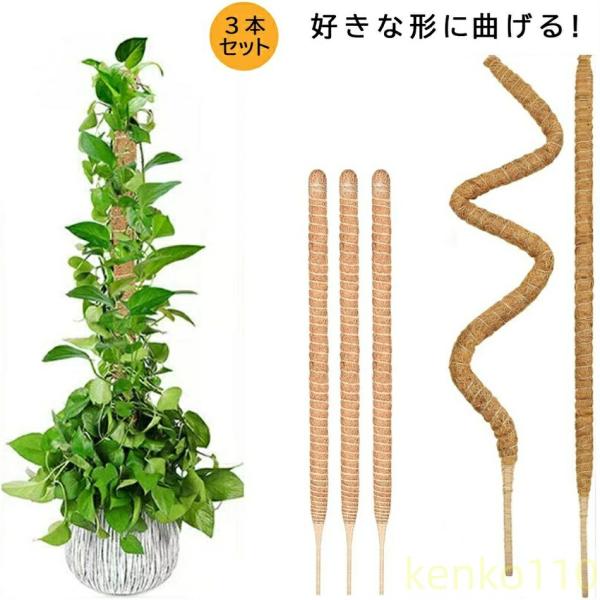 【送料無料】ヘゴ支柱 3本セット 園芸支柱 好きな形に曲げる 誘引 支柱 フラワースタンド 花支え ...