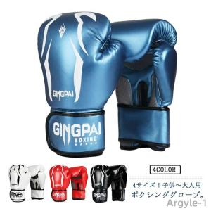 初めてのキックボクシング入門 - 楽しく始めるためのステップガイド