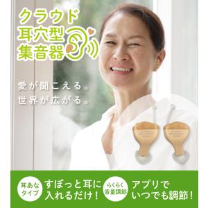 【在庫限定特別価格】ミミタカラ 耳穴型 デジタ...の詳細画像1