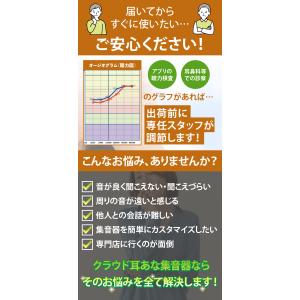 【在庫限定特別価格】ミミタカラ 耳穴型 デジタ...の詳細画像3