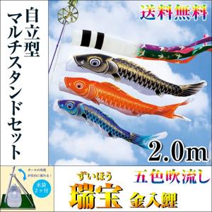 こいのぼり 鯉のぼり 五色吹流 瑞宝 金入鯉 1.5m 自立型マルチ