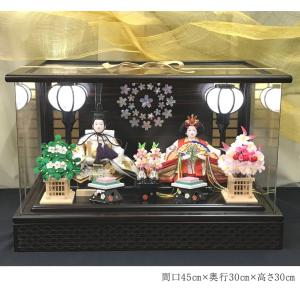 お正月飾り 羽子板 華風作 15号 ひなた お孫さんへのお祝いや雛人形の