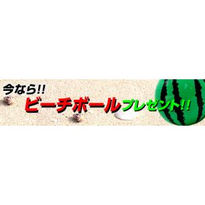 ビーチボールプレゼント ビニールプール シーア...の詳細画像4