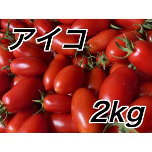 信州産ミニトマト アイコ 2kg