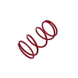 アドバンス プロ リード110 センタースプリング 4％アップ SSP-HR01