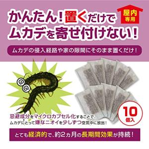 ムカデブロック 10個セット 室内用 青森ヒバ...の詳細画像1