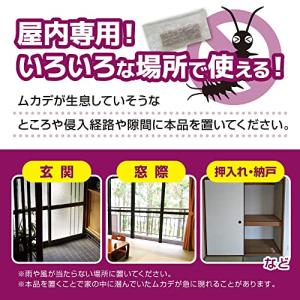 ムカデブロック 10個セット 室内用 青森ヒバ...の詳細画像2