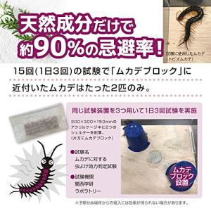 ムカデブロック 10個セット 室内用 青森ヒバ...の詳細画像3