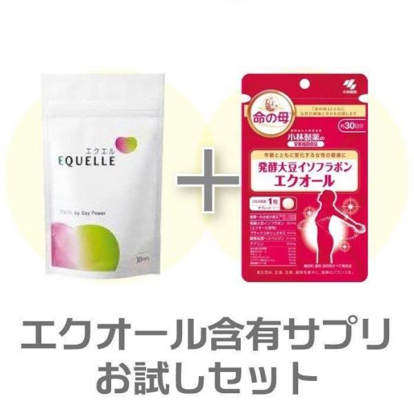 エクエル 大塚製薬 パウチ 120粒・エクオール 小林製薬（エクオール含有サプリお試しセット）