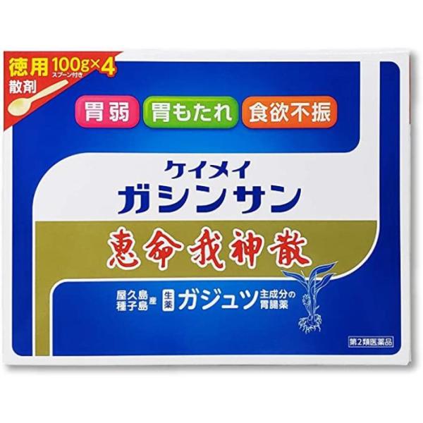 【第2類医薬品】恵命我神散 100g×4包