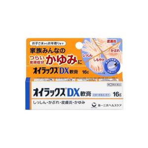 16g オイラックスDX軟膏 第 類医薬品 2