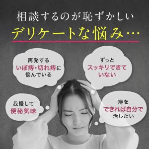 乙字湯 本草乙字湯エキス顆粒-H 30包 いぼ...の詳細画像2