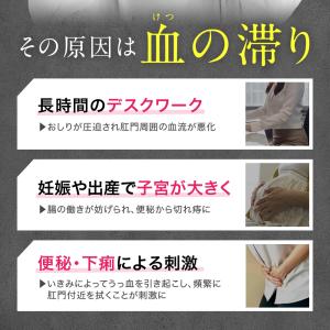 乙字湯 本草乙字湯エキス顆粒-H 30包 いぼ...の詳細画像3