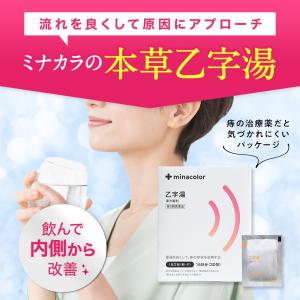 乙字湯 本草乙字湯エキス顆粒-H 30包 いぼ...の詳細画像4