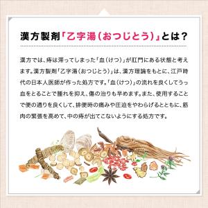 乙字湯 本草乙字湯エキス顆粒-H 30包 いぼ...の詳細画像5