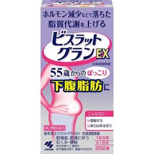 【第2類医薬品】ビスラットグランEX 防風通聖散錠 252錠｜ミナカラドラッグ 1号店