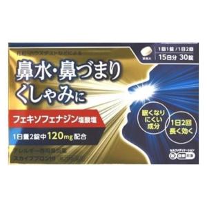 スカイブブロンHI 30錠 花粉症 アレグラのジェネリック