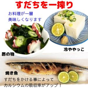 (クール便送料無料)(お中元ギフト対応)すだち...の詳細画像1